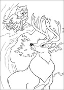 Owl And Roe  from Bambi Coloring Pages