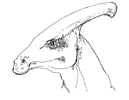 Página para colorir de cabeça de dinossauro Parasaurolophus