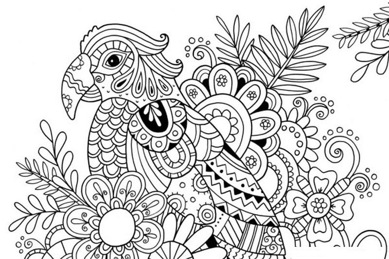 Hard Coloring Pages Coloringpagesonly Com