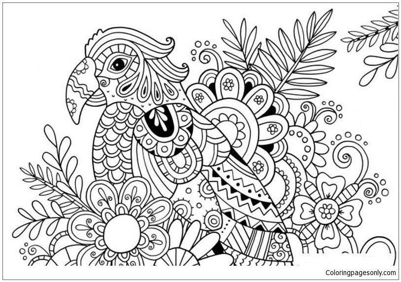 Раскраска Попугай с летним цветком