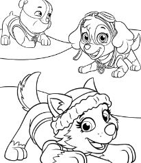 Paw Patrol Super Pups 3 Coloring Page - Free Coloring Pages Online