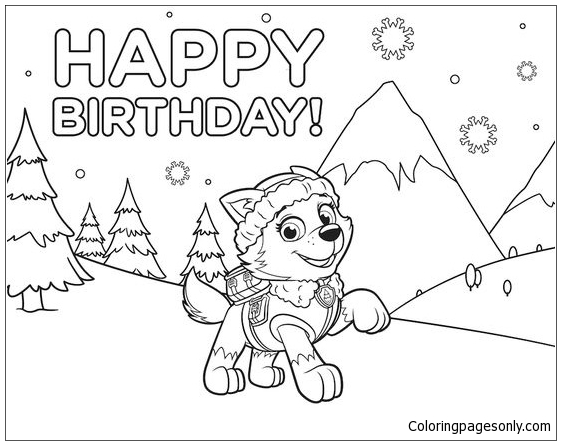 Anniversaire Paw Patrol d'Everest Paw Patrol