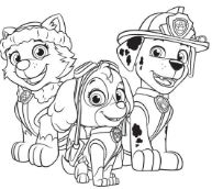 Paw Patrol Marshall Badge Coloring Pages - Cartoons Coloring Pages