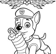 Carlos And Tracker From Paw Patrol Coloring Pages - Cartoons Coloring