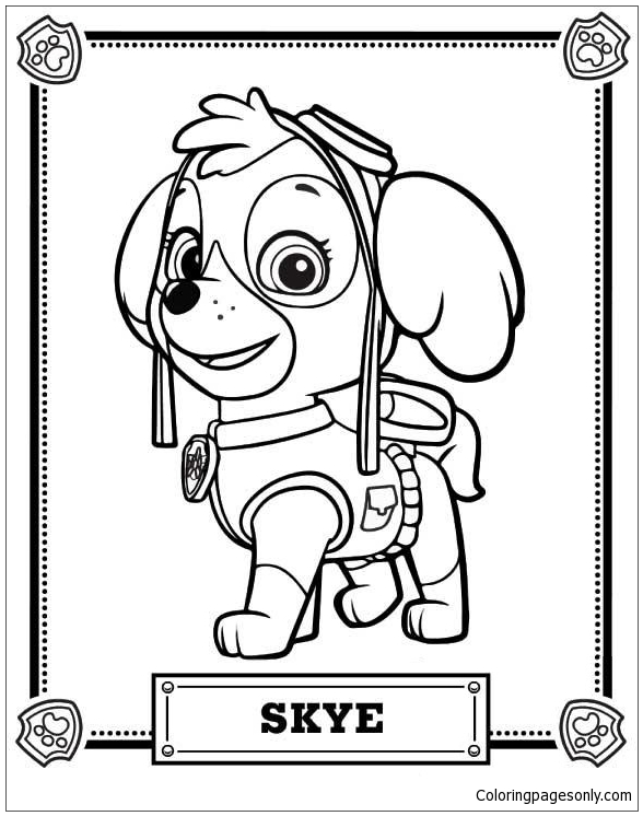 Patrol Coloring - Coloring Pages Kids And Adults