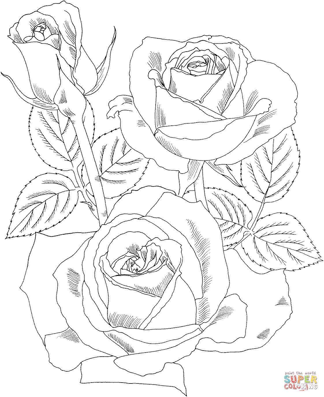 Rose And Leaf Coloring Pages