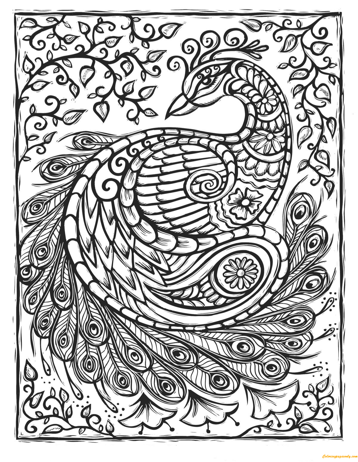 Peacock Patterns Coloring Page