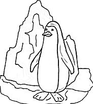 Pinguim perto do iceberg para colorir