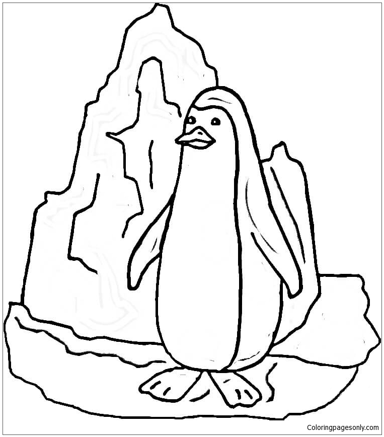 Penguin Near Iceberg from North And South Poles