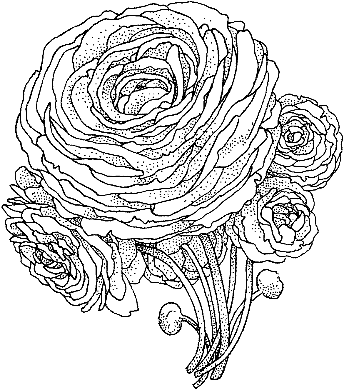 Página para colorir de flor de peônia
