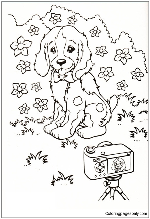 Photographed Spring For The Puppy Coloring Pages