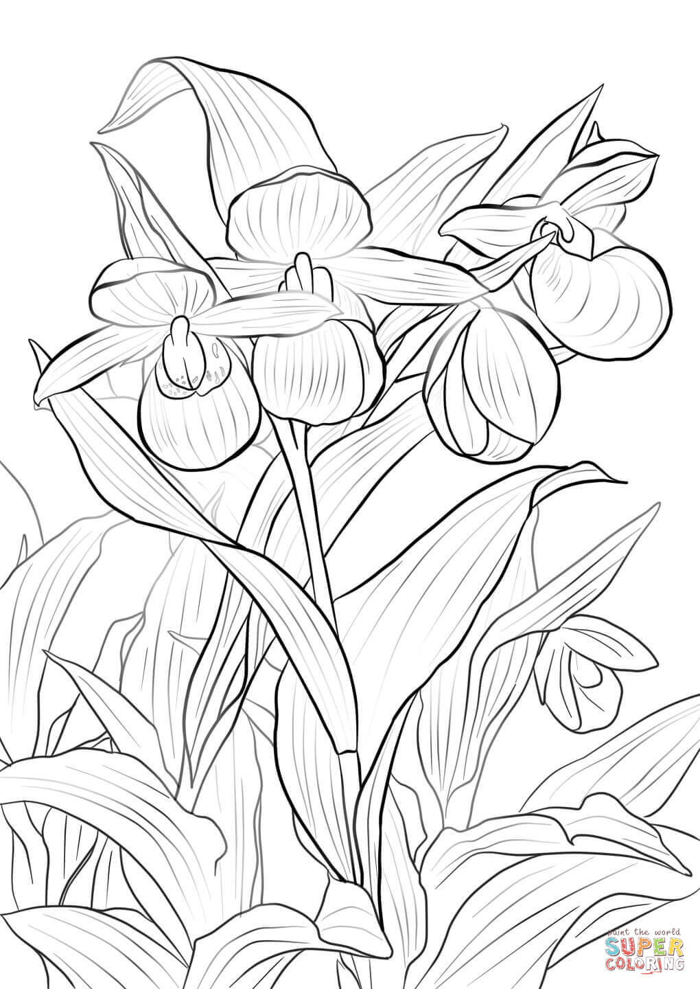 Розово-белые женские тапочки от Орхидея
