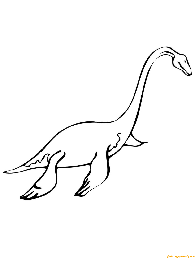 Reptil marino mesozoico plesiosaurio de Plesiosaurus