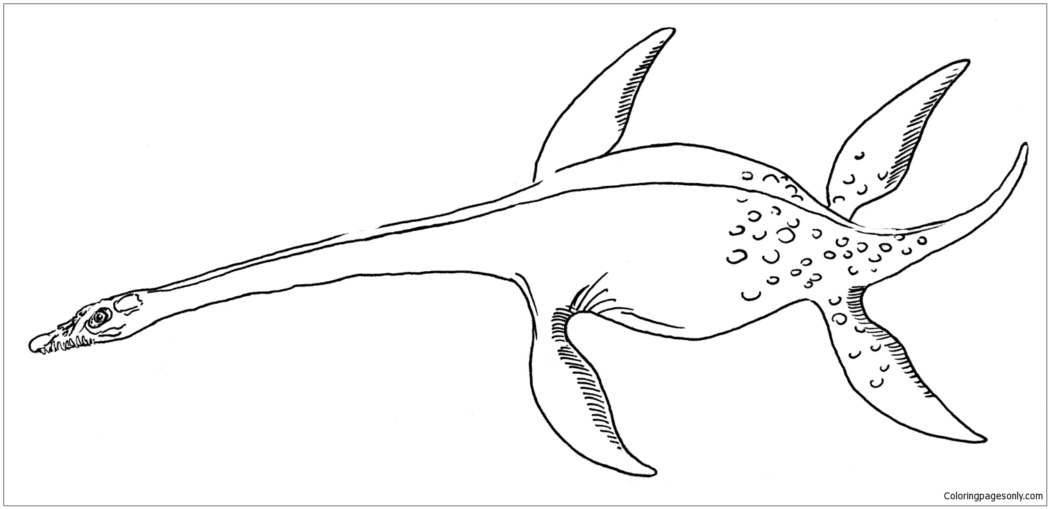 Plesiosaurus 3 Coloring Pages - Dinosaurs Coloring Pages - Free