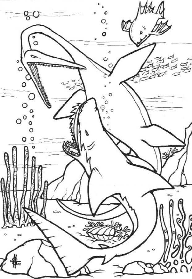 Il dinosauro Plesiosaurus combatte contro lo squalo sotto il mare Pagina da colorare
