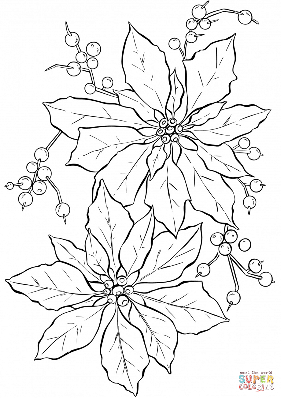 Poinsettia Flower Coloring Page