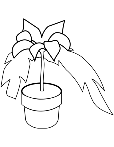 Poinsettia in a Pot Coloring Pages