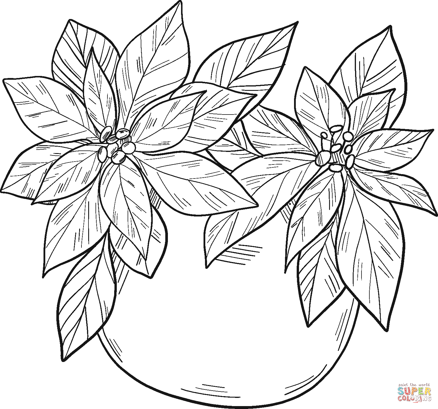 Kerstster in een Pot van Poinsettia