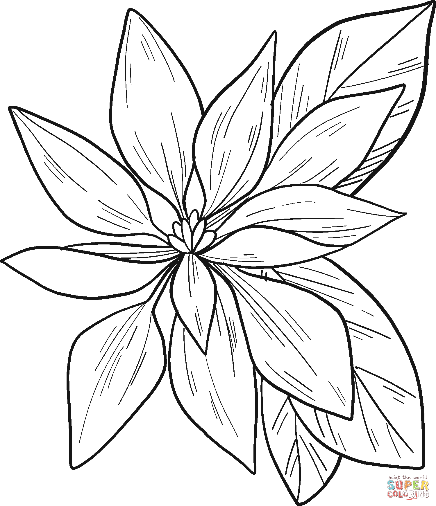 Poinsettia Watercolor Coloring Pages