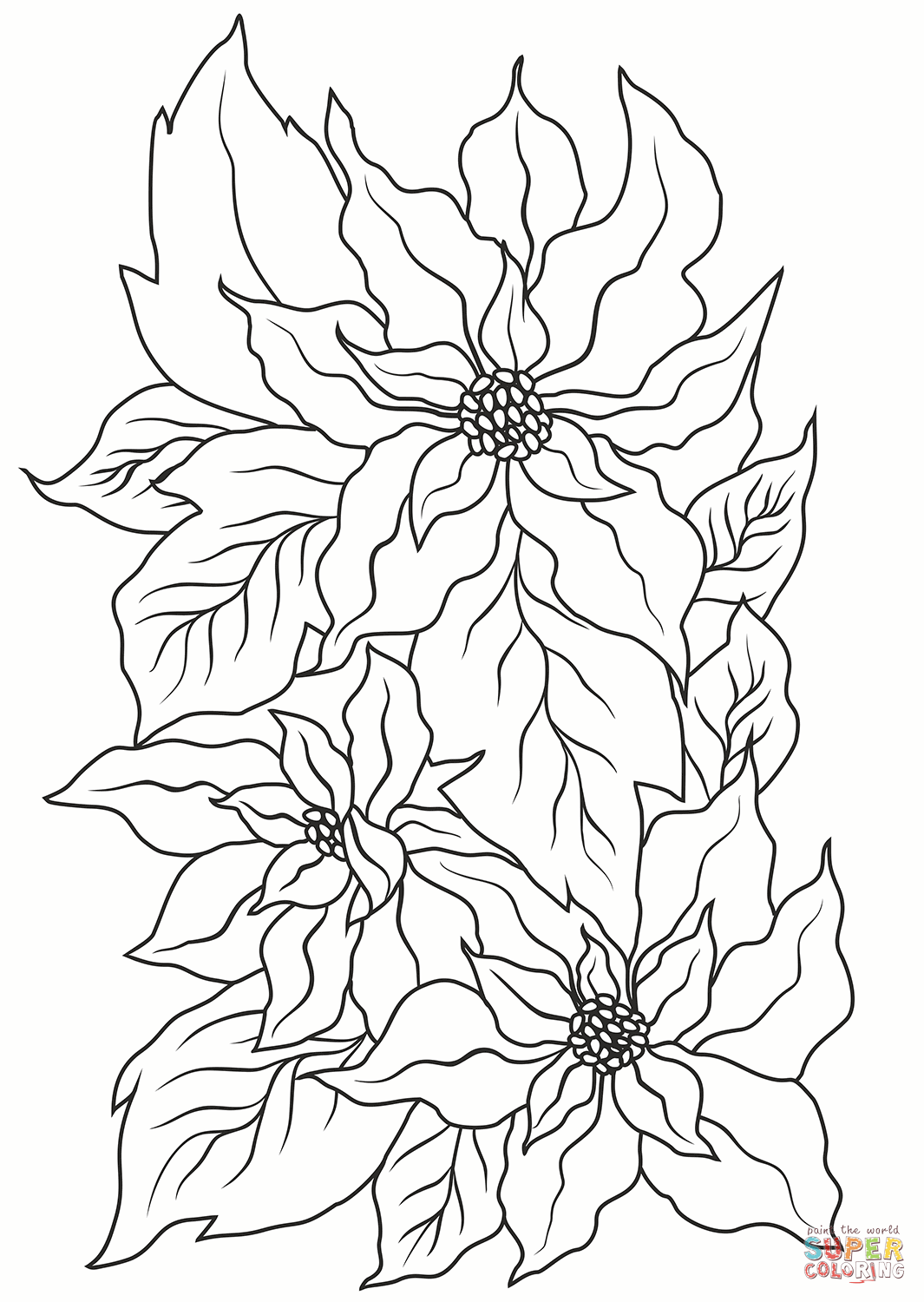 Pink Poinsettia Coloring Page