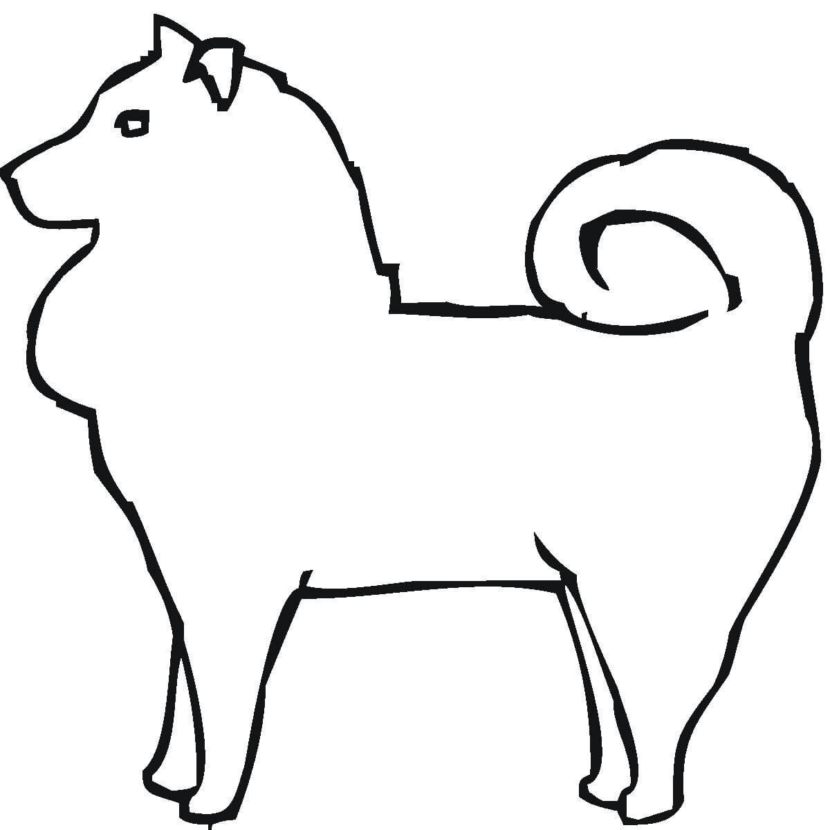 Pomeranian Coloring Pages