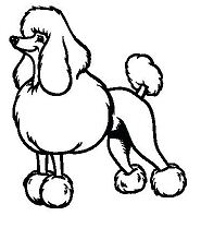 Poodle Puppy Coloring Pages