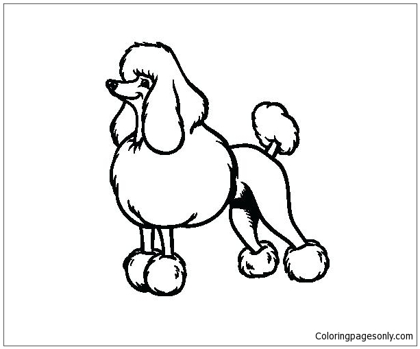 Poodle Puppy Coloring Pages