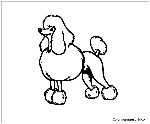 Poodle Puppy Coloring Page