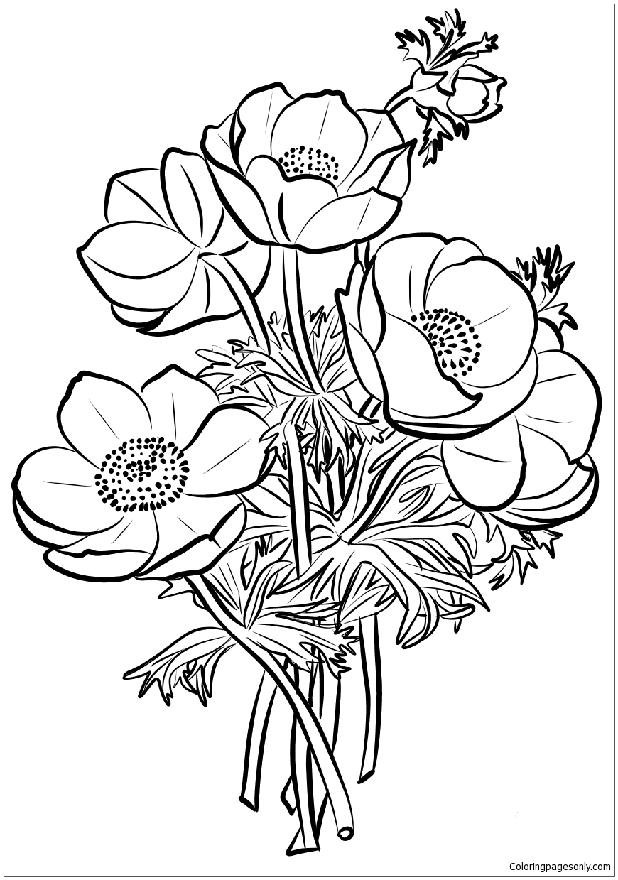 poppies bouquet coloring pages flower coloring pages coloring pages for kids and adults