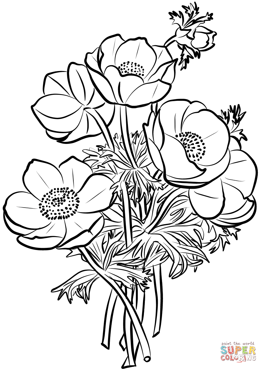 Poppies Bouquet Coloring Pages