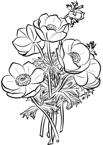 Poppies Bouquet Coloring Page