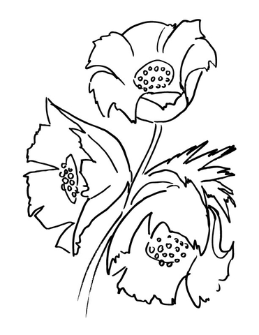 Poppy Flower Bouquet Coloring Page