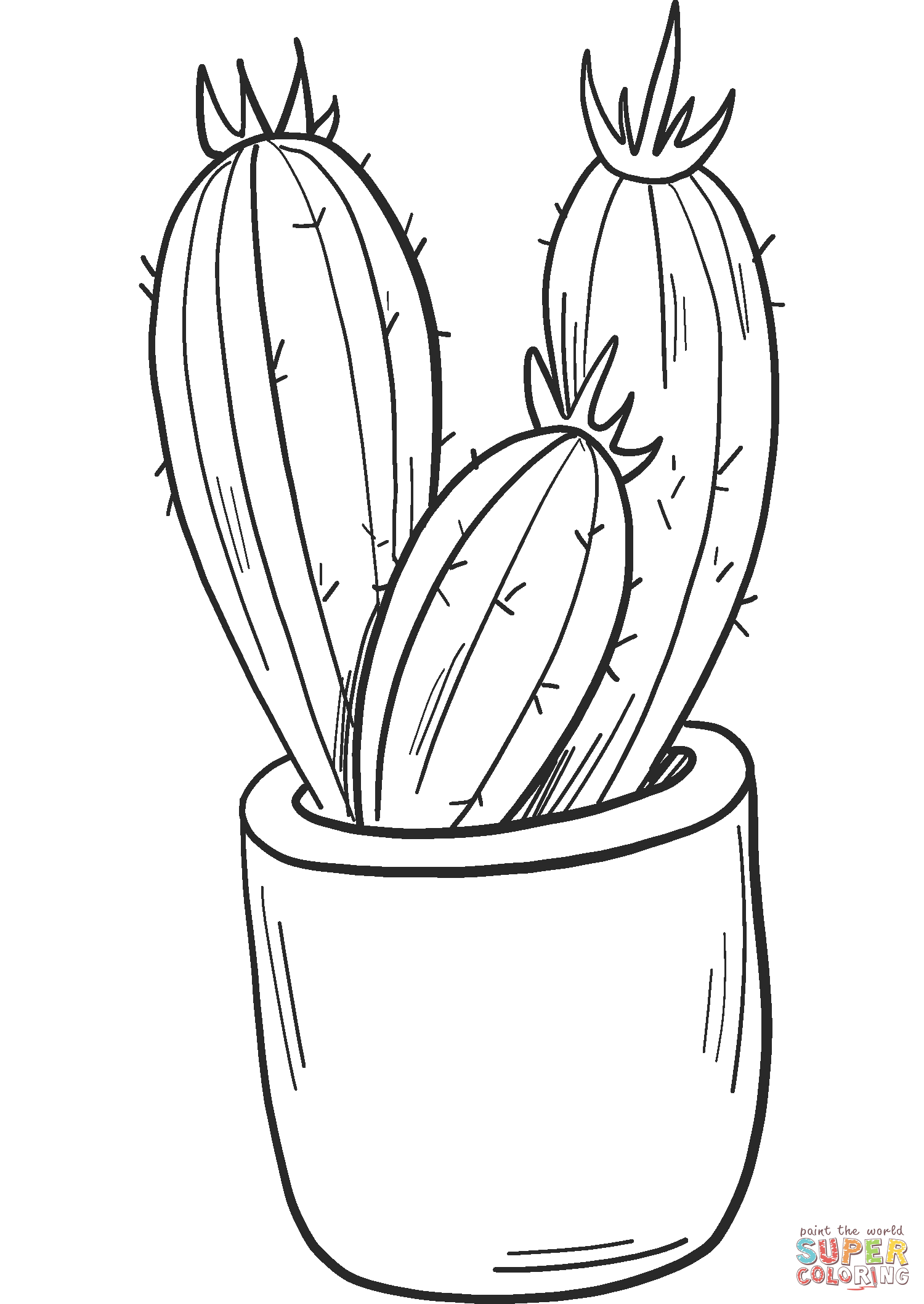 Potted Cactus from Cactus