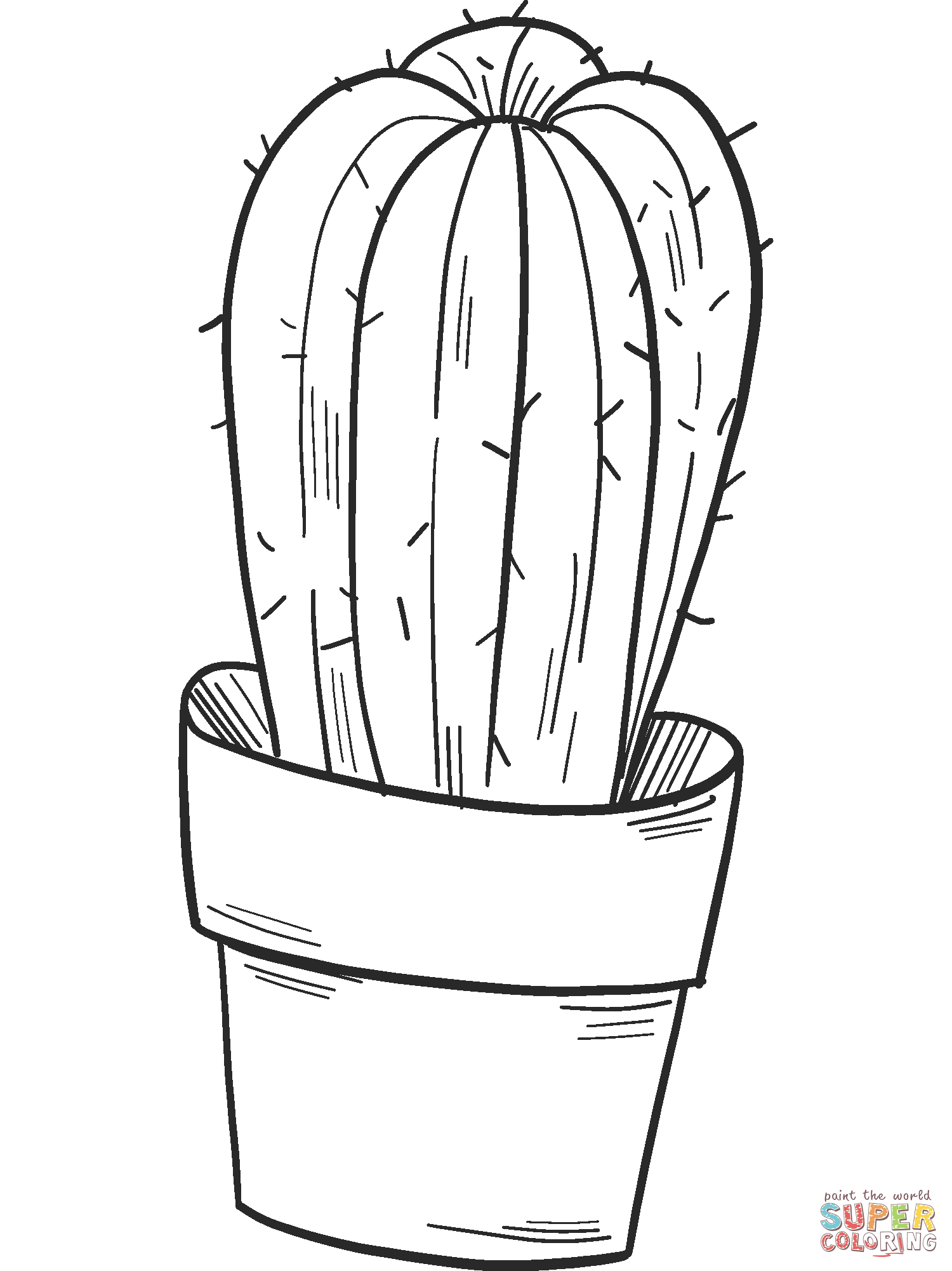 Кактус в горшке от Cactus