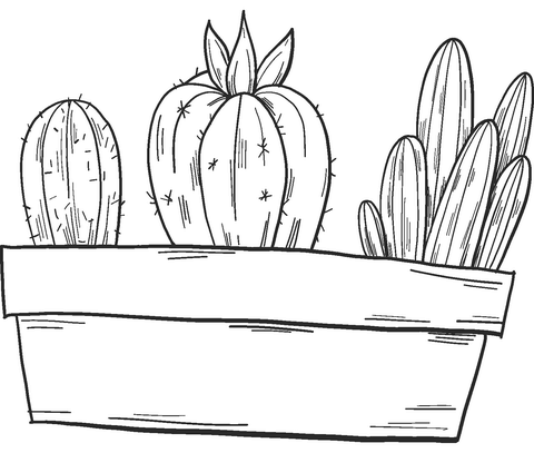 Potted Cactuses Coloring Page