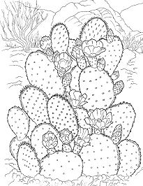 Prickly Pear Cactus Coloring Page
