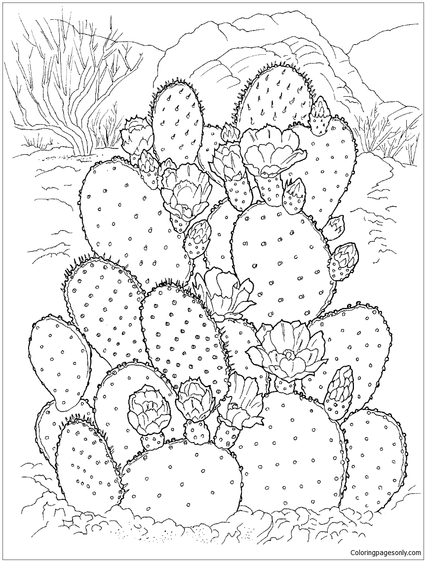 Prickly Pear Cactus Coloring Page