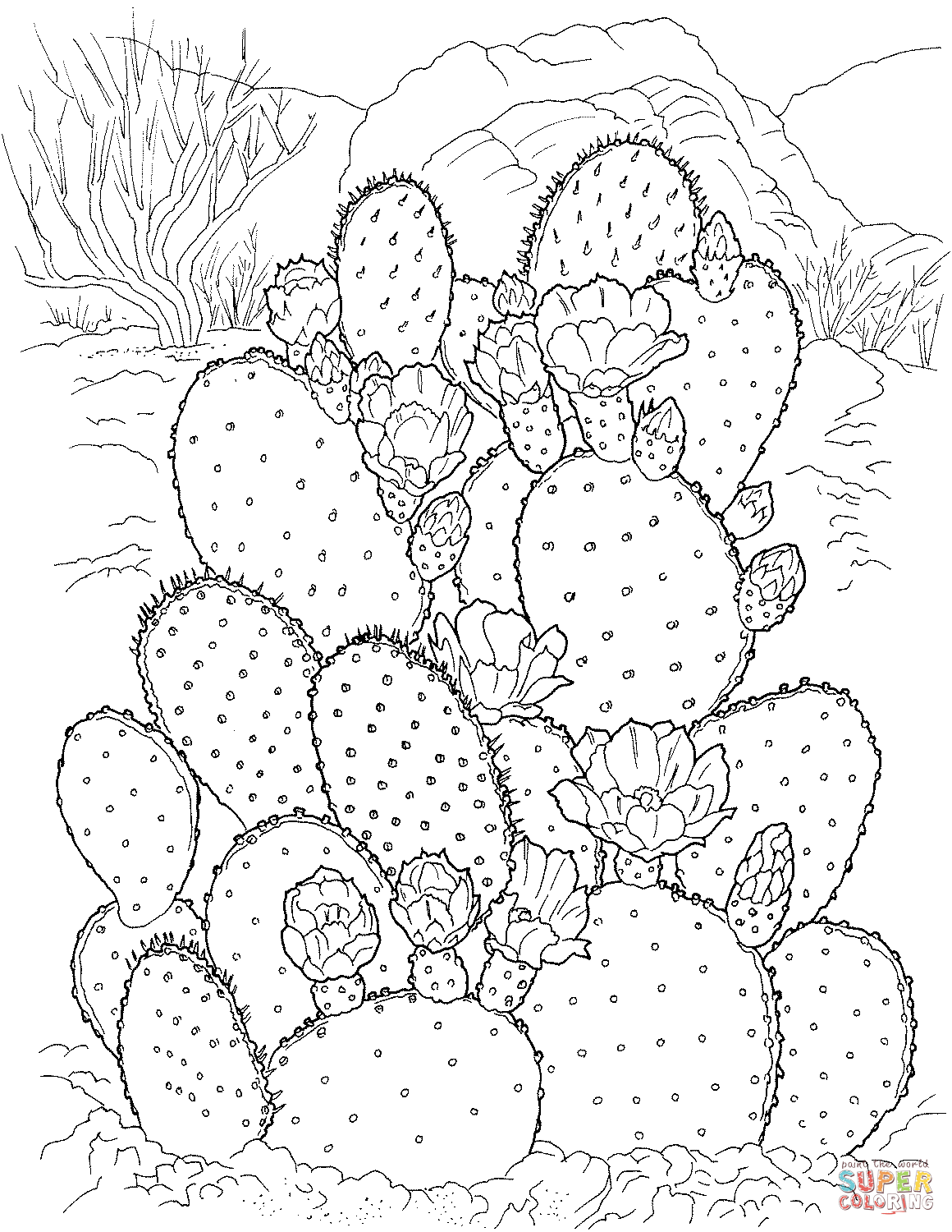 Кактус опунция из Cactus