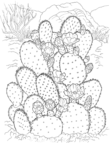Prickly Pear Cactus Coloring Pages