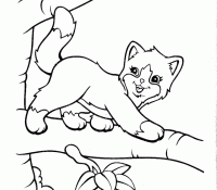 Pretty Cat Lisa Frank Coloring Page