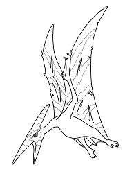 Pteranodon Coloring Pages - Coloring Pages For Kids And Adults