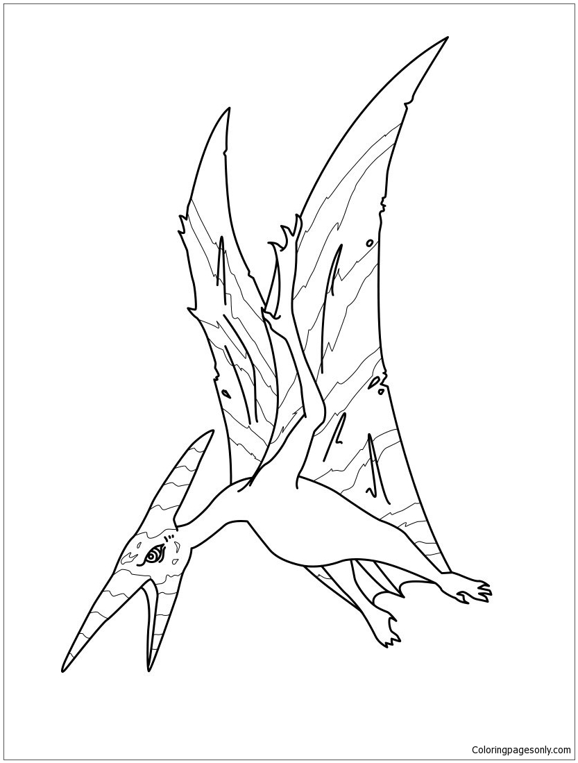 Pteranodon 1 Coloring Page - Free Printable Coloring Pages