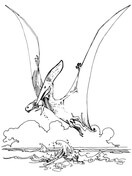 Pteranodon Pterosaur Coloring Pages