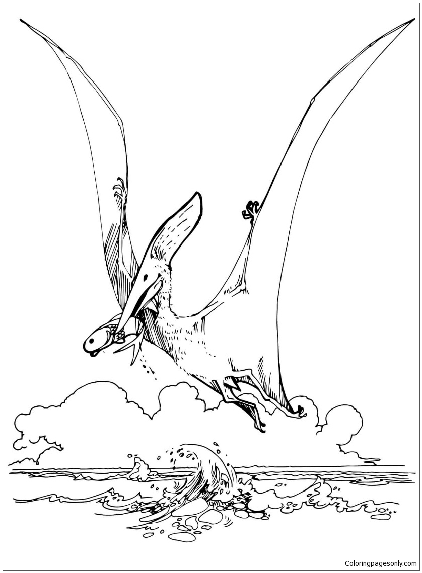 Pteranodon Pterosaur Coloring Page - Free Printable Coloring Pages