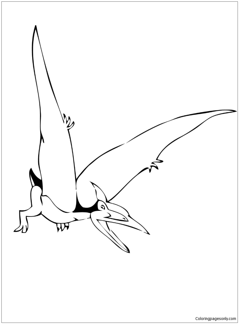 Pteranodon Coloring Pages