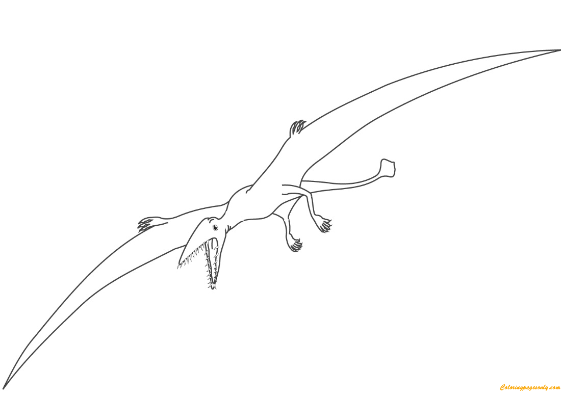 Pterodactyl Dinosaur Coloring Pages