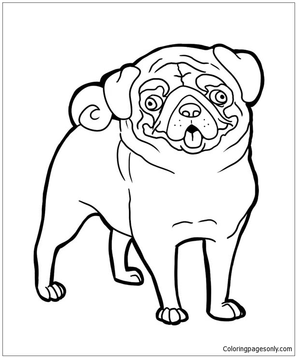 Pug Funny Face Coloring Page Free Coloring Pages Online