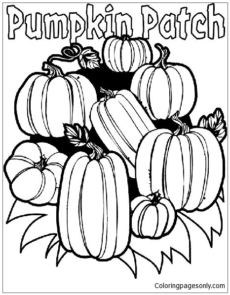 Pumpkin Patch Coloring Pages - Halloween Pumpkin Coloring Pages