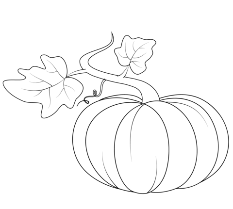 Pumpkin with Leaves Coloring Pages