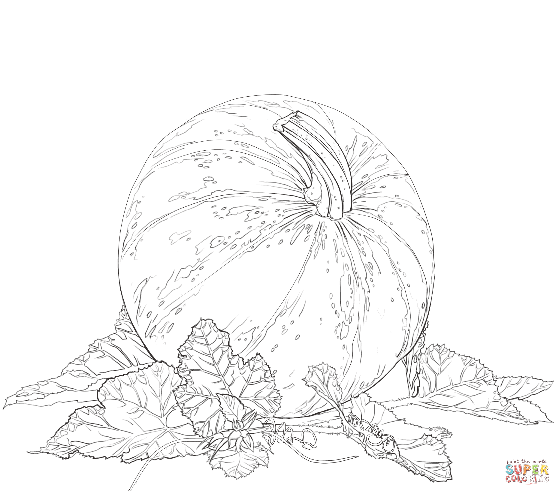 Pumpkin with Leaves Coloring Pages